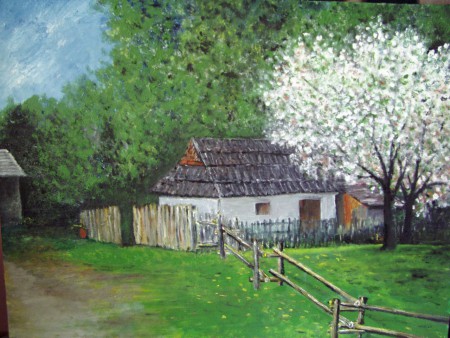Zakvitnuté čerešne